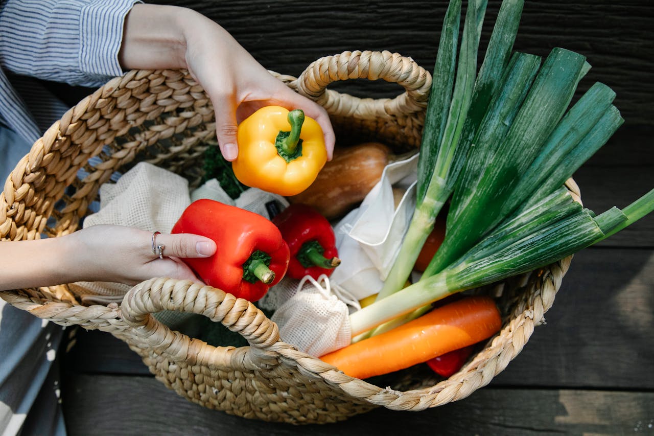 Vegetable Garden